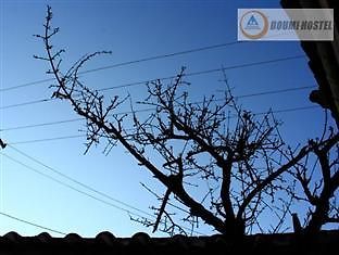Shuhe Doumi International Youth Hostel Lijiang  Dış mekan fotoğraf